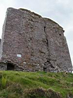 Irlande, Co Kerry, Dingle, Minard castle (4)